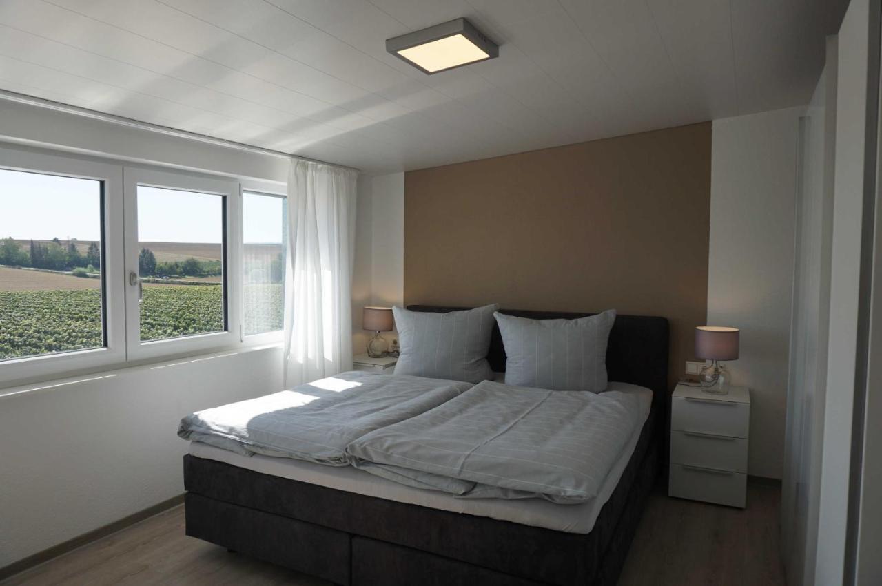 Ferienwohnung Weingut Schaaf Lauffen am Neckar Exterior foto