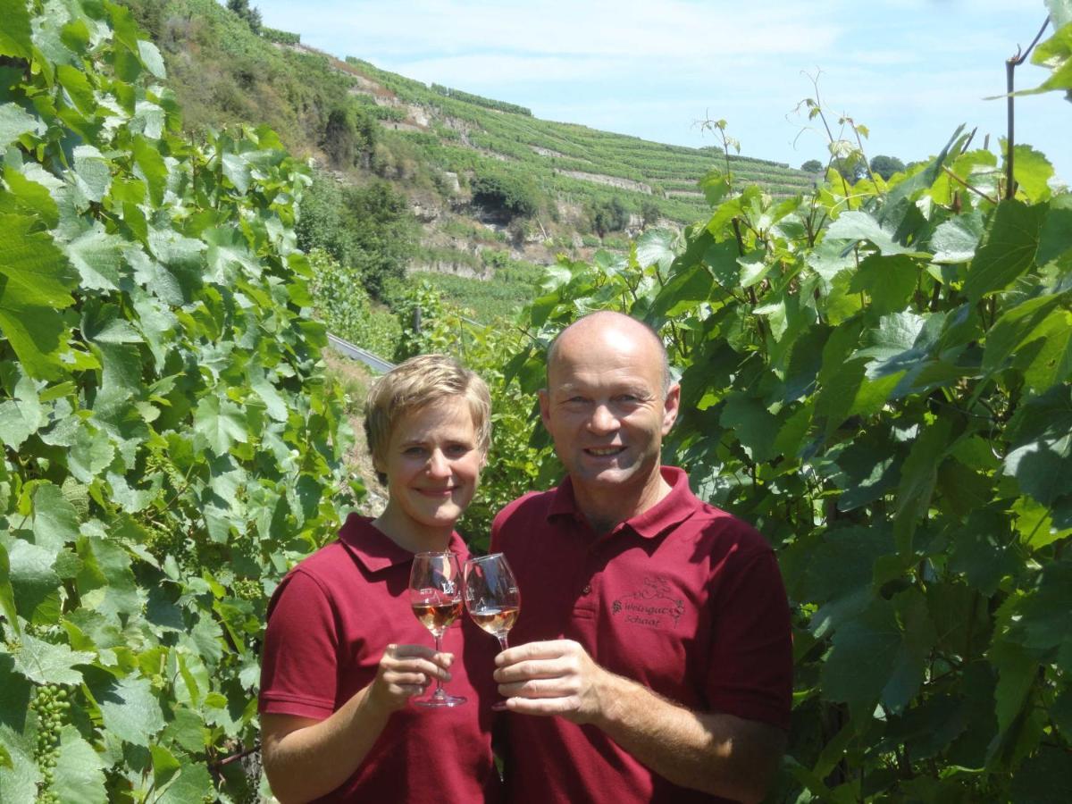 Ferienwohnung Weingut Schaaf Lauffen am Neckar Exterior foto