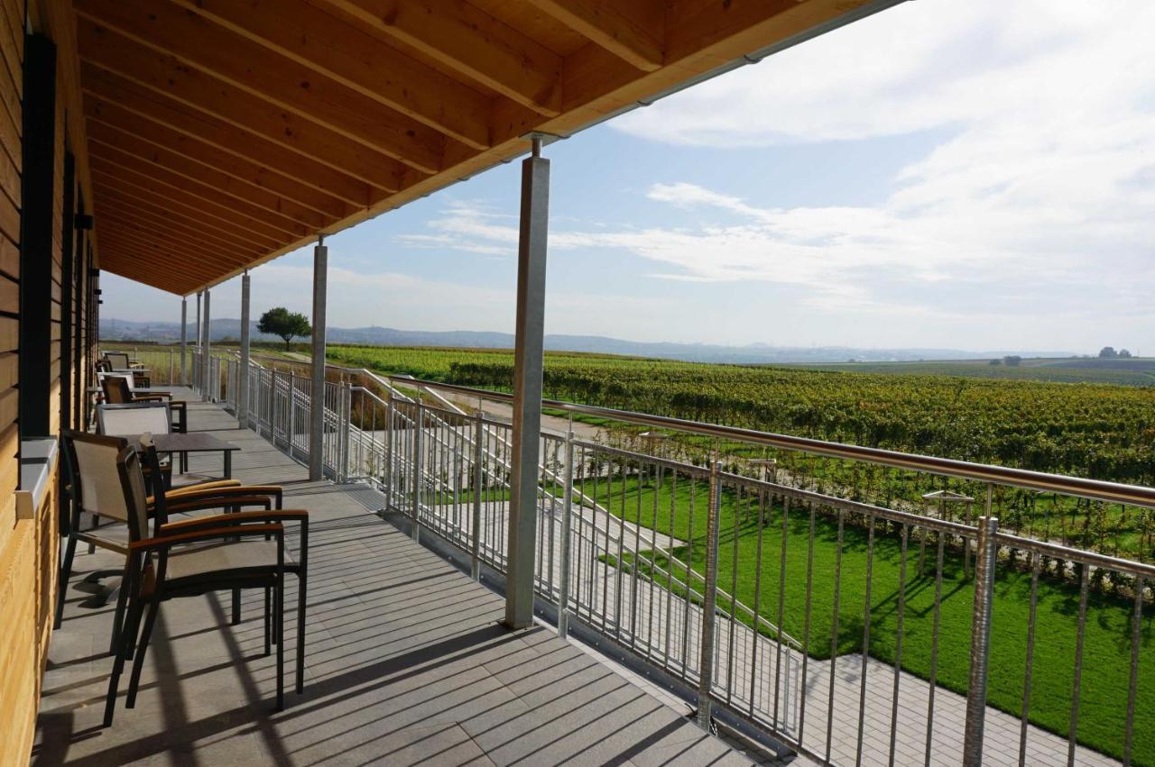 Ferienwohnung Weingut Schaaf Lauffen am Neckar Exterior foto